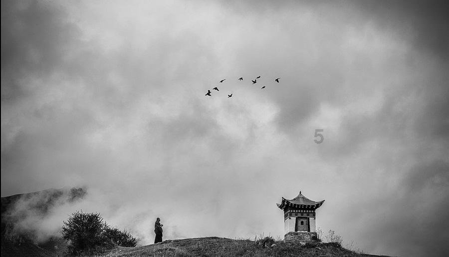 鸦片战争有多惨烈，为何十万清军打不过两万英军？战损比达441