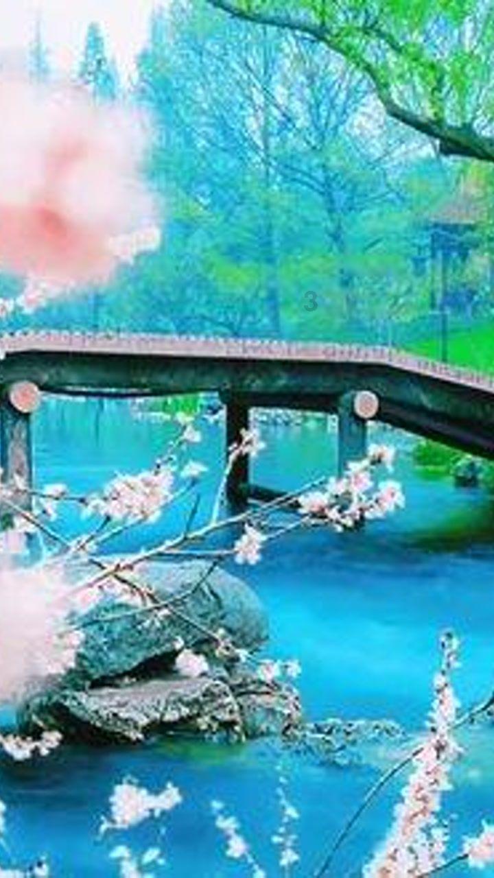 √0.04的算术平方根是什么?-专业有问必答平台